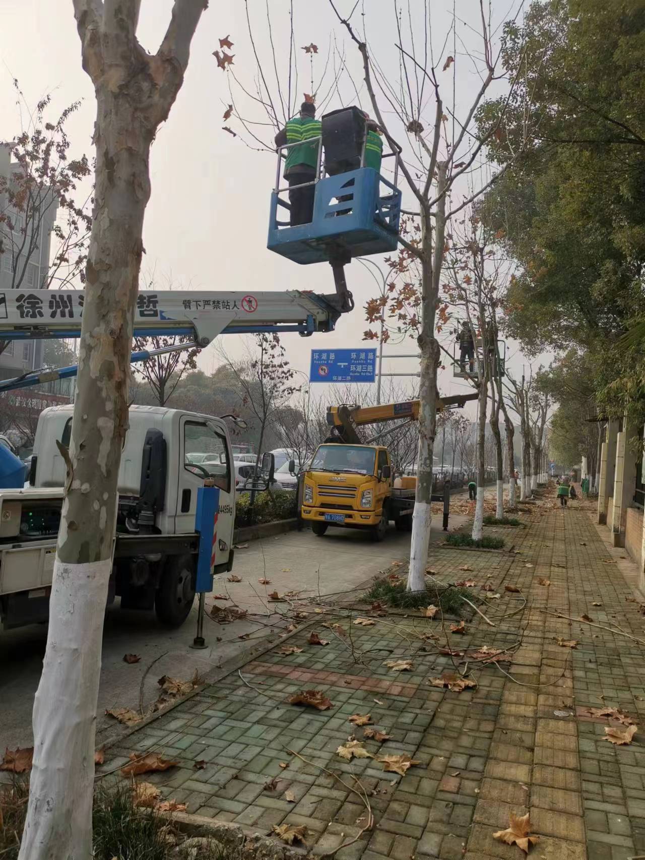 武汉冻雨期间高空作业车抢修线路、修理树枝施工现场